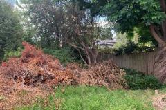site-clean-excavation-services-3
