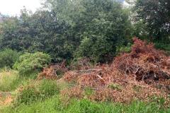 site-clean-excavation-services-4
